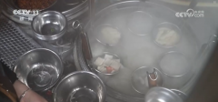 这里的门客就是络